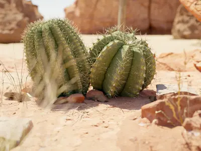 Desert Scene 3D model