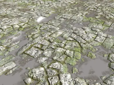 Old Mossy Floor Seamless PBR Texture