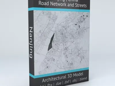 Nanjing Road Network and Streets 3D model