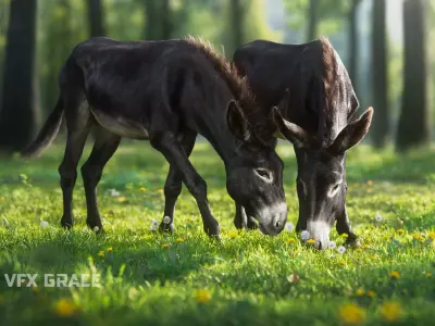 Donkey Animation VFX Grace 3D model