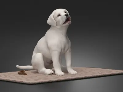  Labrador Retriever Puppy Pooped on the Mat 