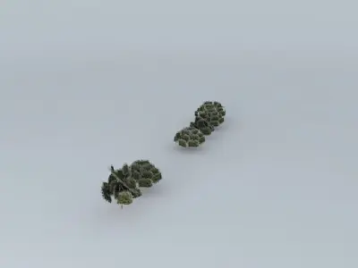 Trees river street January Free 3D model