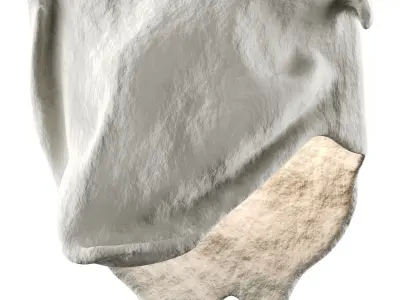 Castimonia Corporis LV Low-poly 3D model