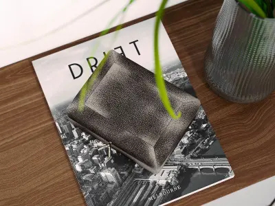 Carbon Shagreen Box 3D model