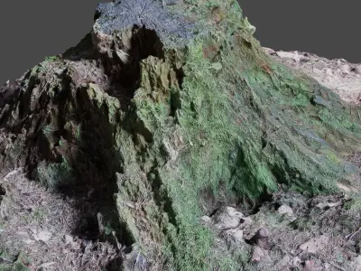 Tree Stump 2 3D model