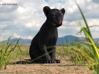  Black Panther Cub Rigged for Cinema 4D 
