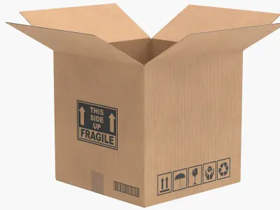  Cardboard Box Bundle Collection 