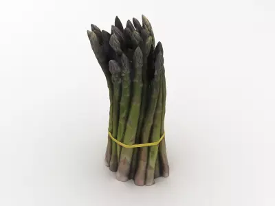Green Asparagus Bundle 3D model