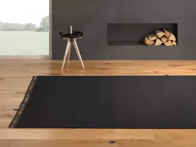 Tassels Carpet 3D model