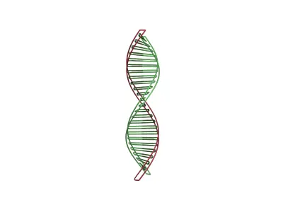DNA Molecule v3 007 Low-poly 3D model