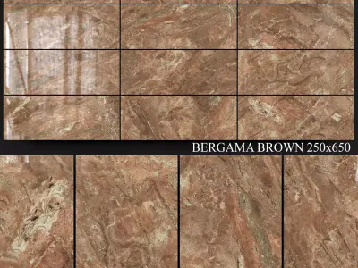 Yurtbay Seramik Bergama Brown 250x650 3D model