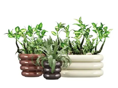 Oyoy awa one 3D model