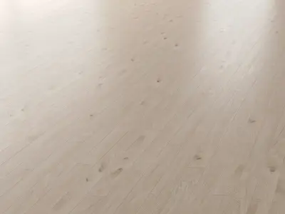 Parquet Oak Arctic NEW Brushed set 7 3D model