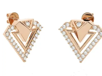 Light wt Women Diamond Earrings  3D print model