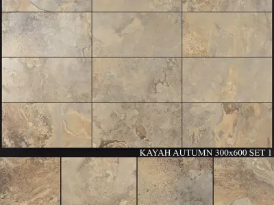 Yurtbay Seramik Kayah Autumn 300x600 Set 1 3D model