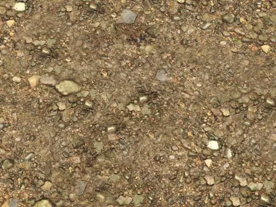 River Bottom Texture Texture