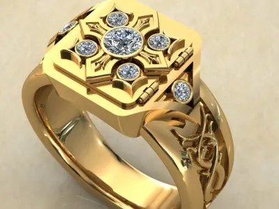 hidden ring 3D print model