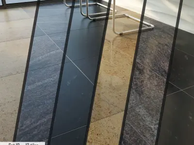 Bevers Marmyr Set Low-poly 3D model