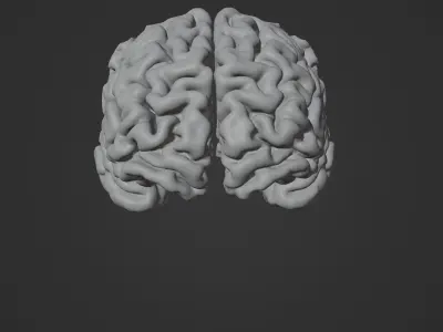 Brain Hologram Animated 3D model