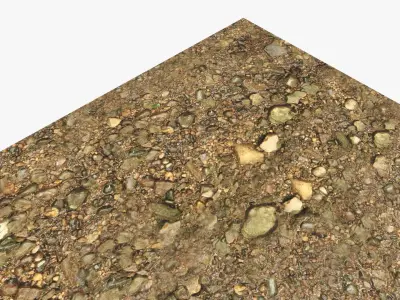 River Bottom Texture Texture