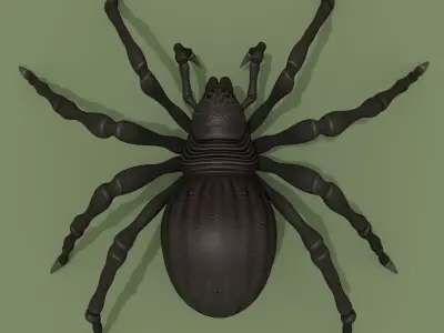 Fantasy Spider 3D model