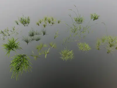 Northern Spruce Forest Low-poly 3D model