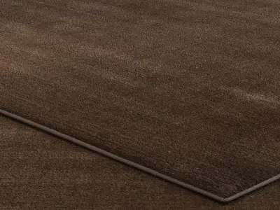 Carpet set 3101 - Wool Rug - 4k 3D model