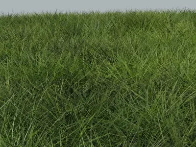 Grass 3D model