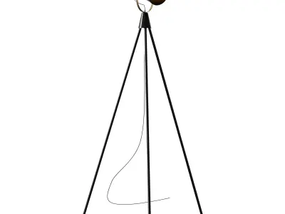 Briand Floor Lamp Black 3D model