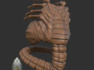 Aliens Romulus Face Hugger 3D DIGITAL DOWNLOAD 3D print model