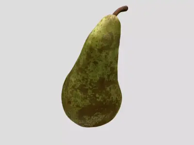 A pear fruit 3D model