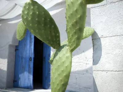 Mediterranean Courtyard 3D model