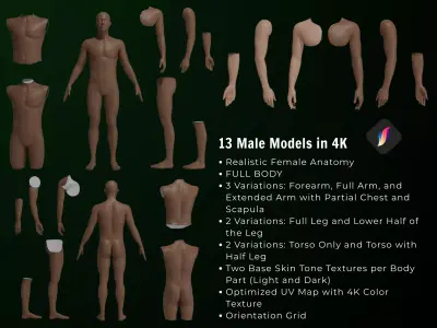 Ultimate 3D Tattoo Model Pack for Procreate   Male Female  Low-poly 3D model