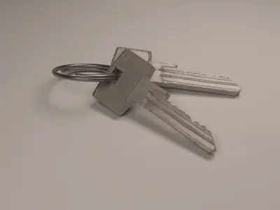 Bunch of Keys 3D model