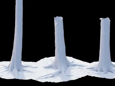 PBR Oak Tree Big Forest Scan Trunk Pack Low-poly 3D model