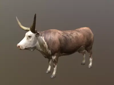 Longhorn Cow Animated and Rigged 3D model Low-poly 3D model