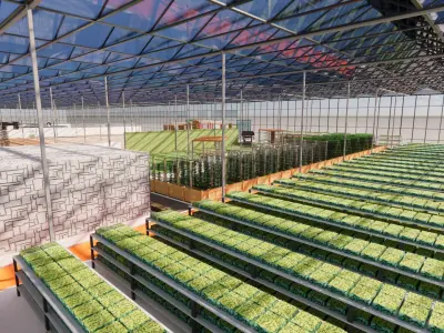 Agricultural Greenhouse Tent Frame -B5 3D model