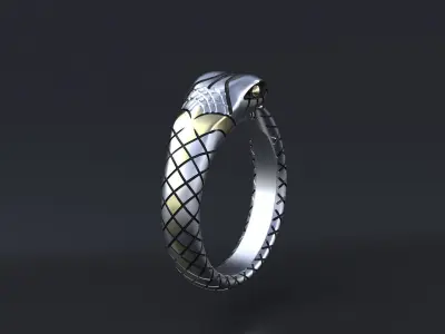 Uroboros Ring CNC model  or  3D print model