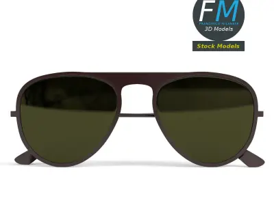 Sunglasses pilot 3D model