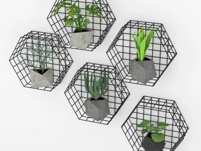 Plants Wall 3D model