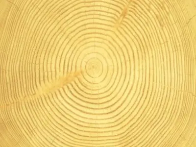 frame house 3D model