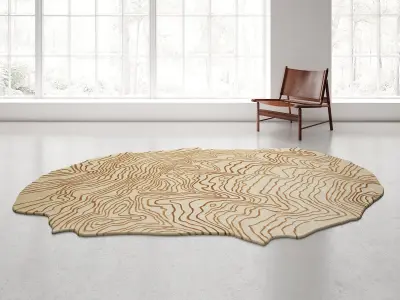 Topographie Rug 3D model