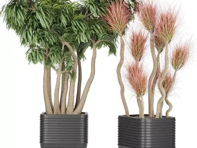 Collection plant vol 9 Free 3D model