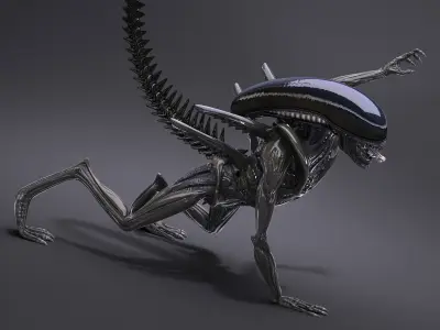 Alien Xenomorph High Detail 3D model