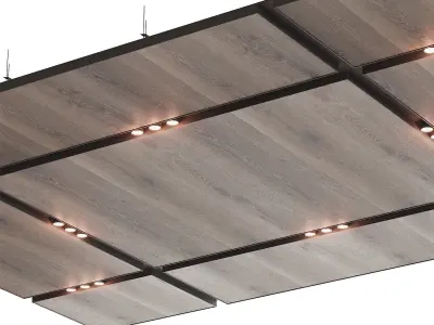 Wooden suspended ceiling with lighting 36 3D model