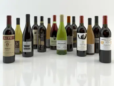  Wine Set of 14 bottles and 12 different wine glasses, tray, wine holder \ stand (Vray and Corona render) 