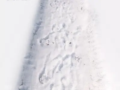 Ultra realistic Snow trail 3D model