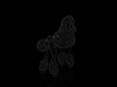 Poodle Wireframe Low-poly 3D model