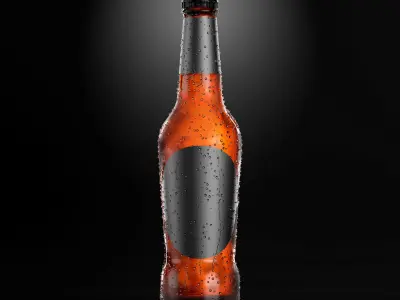 7 Beer Bottles 3D model