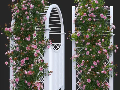 Climbing Rose - Rose Gate 3D model